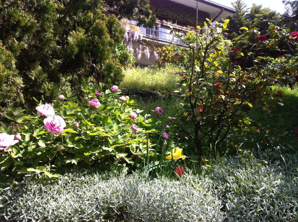 B&B Le Ortensie -Lago Di Como Льєрна Екстер'єр фото
