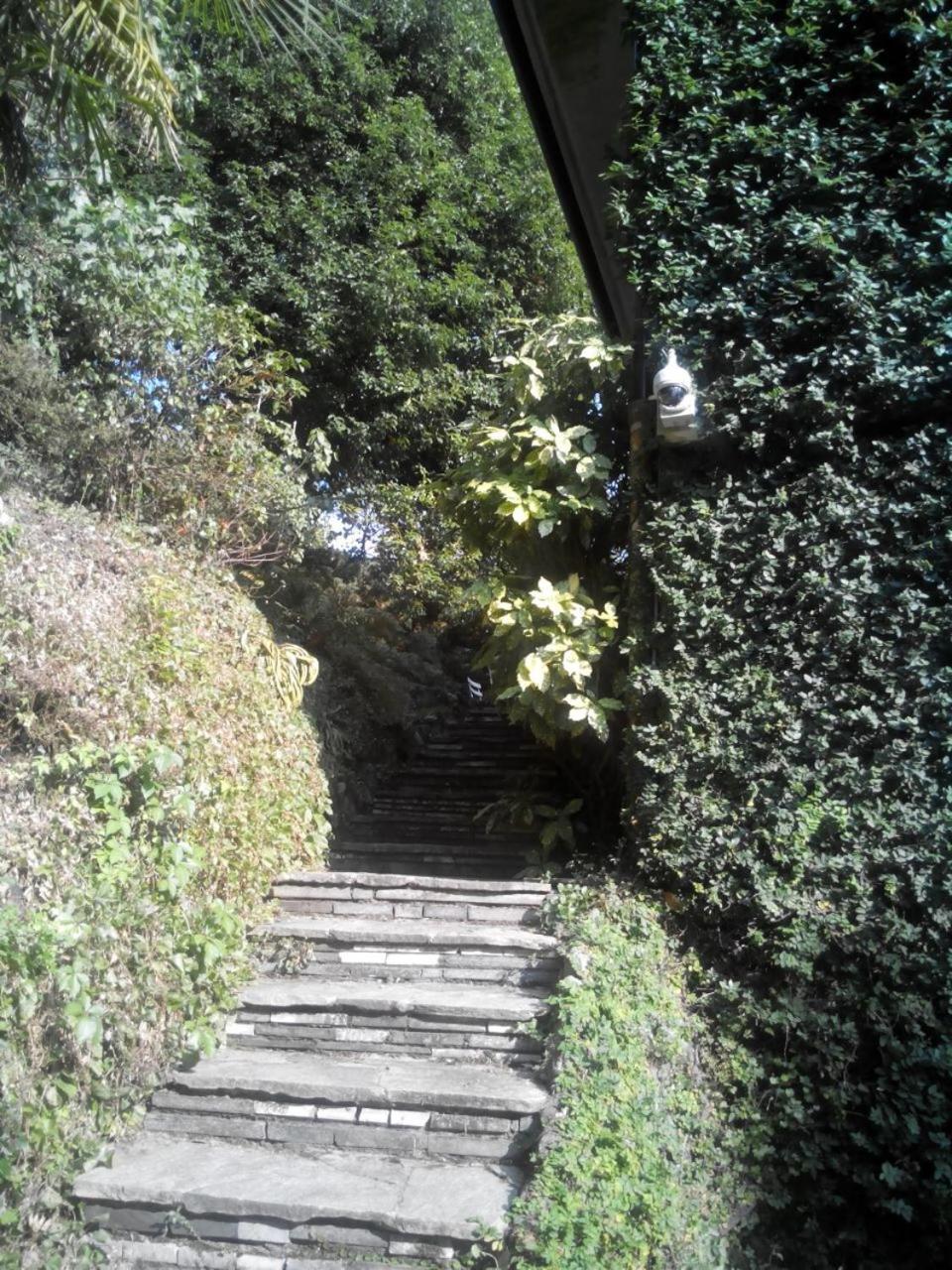 B&B Le Ortensie -Lago Di Como Льєрна Екстер'єр фото